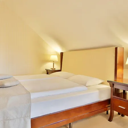 Sun Palace Wellness Mariánské Lázně